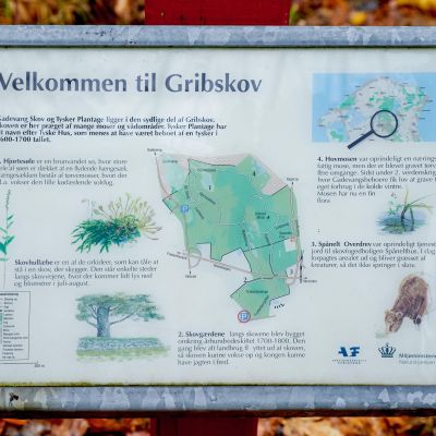 Velkomstinformation Tyske Plantage / Grib Skov 2023 (Foto: Per Buchmann)
