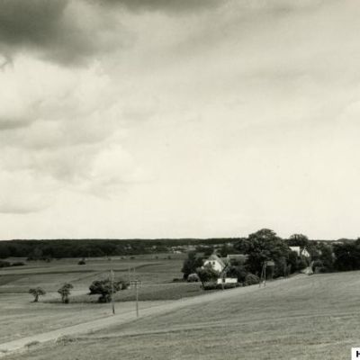  Hestehavevej set mod øst, inden Hestehavevej blev lukket ved anlæggelsen af Overdrevsvejen i 1977 (Foto: Morten Faurschou.)