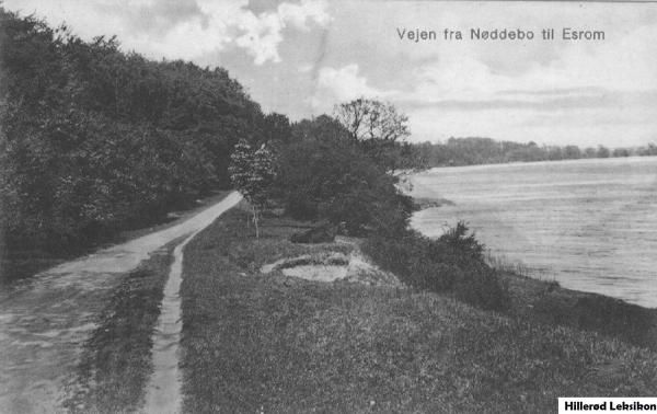 Fra bredden af Esrum Sø. Vejen fra Nødebo til Esrum. Postkort, stillet til rådighed af Gribskov Arkiv.