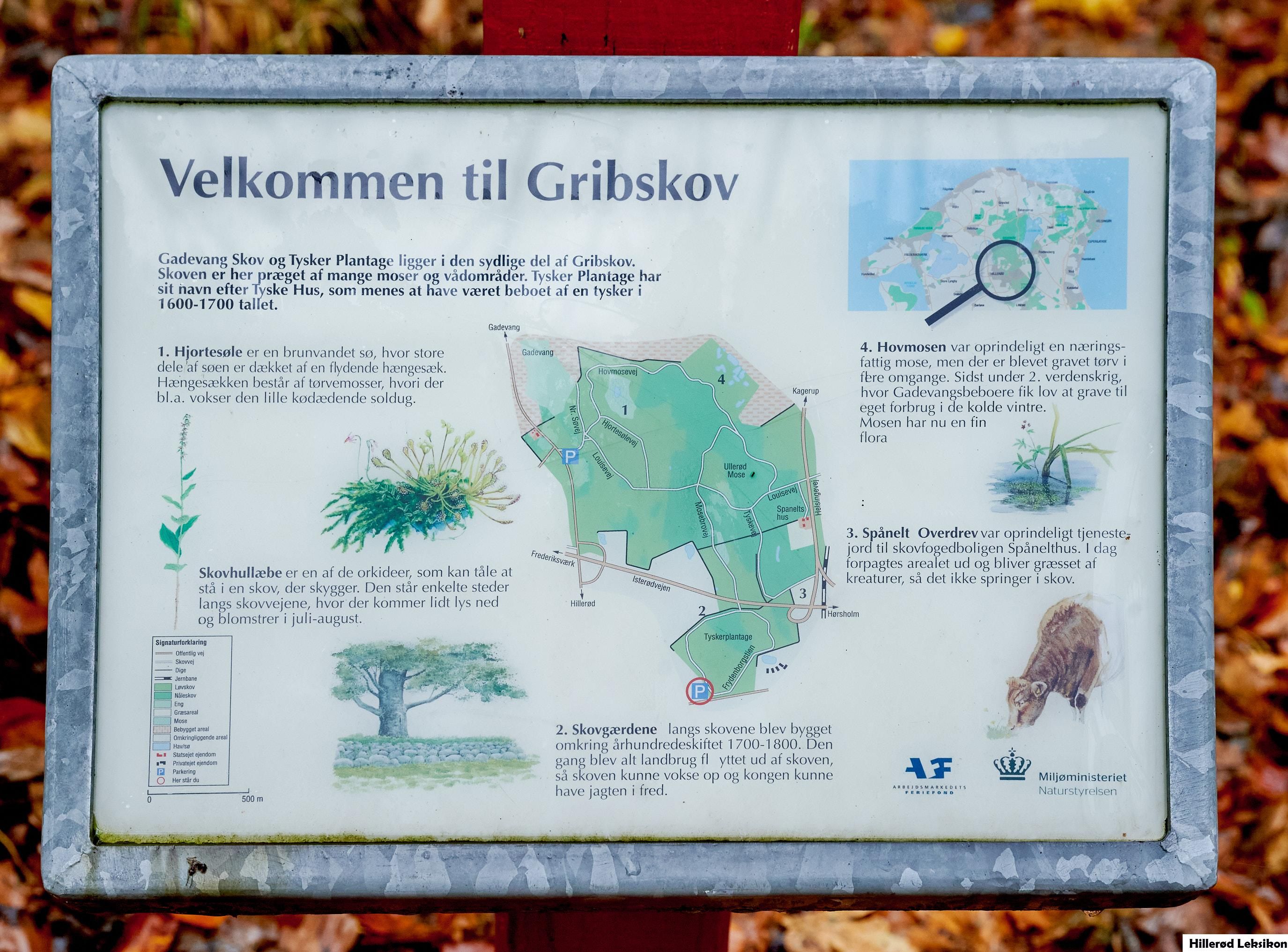 Velkomstinformation Tyske Plantage / Grib Skov 2023 (Foto: Per Buchmann)